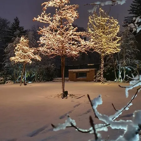 Nest 4* Gyor
